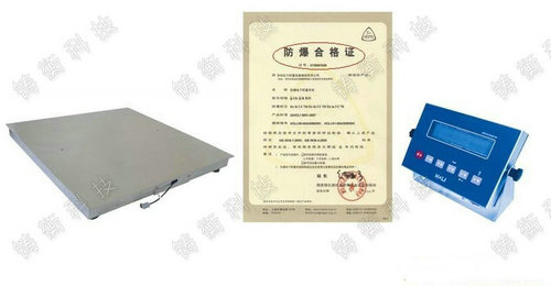 防爆平臺(tái)秤