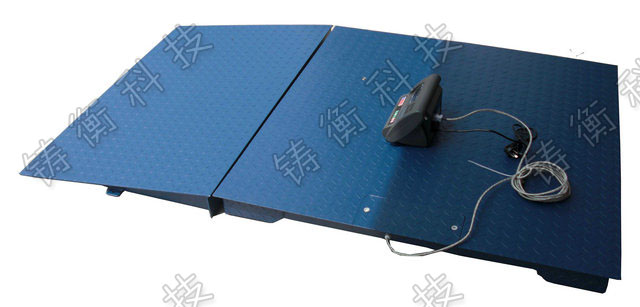 電子平臺(tái)秤